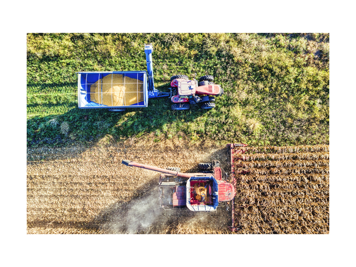 Tractors in a field