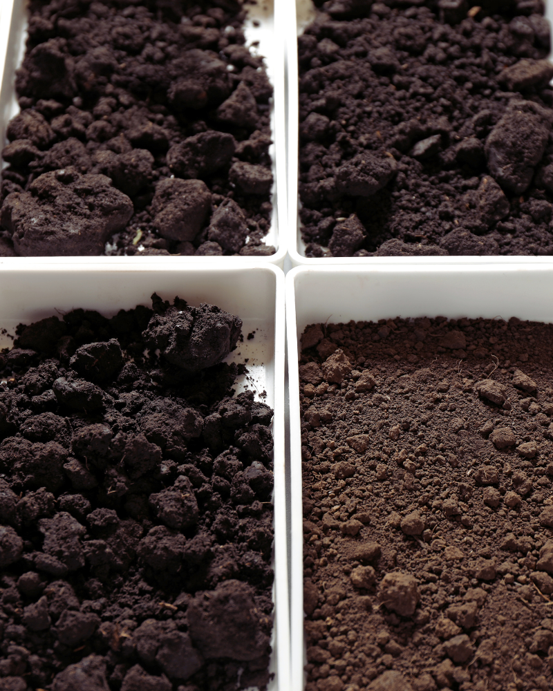 Trays of different soil samples